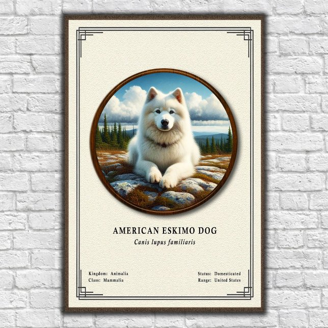 Póster Perro Esquimal Americano Serie de Zoología (Subido por el creador)