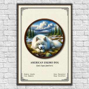 Póster Perro Esquimal Americano Serie de Zoología