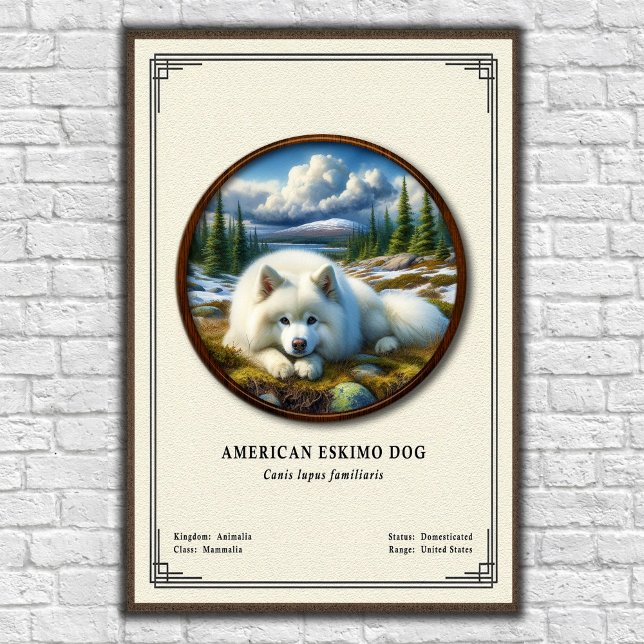 Póster Perro Esquimal Americano Serie de Zoología (Subido por el creador)