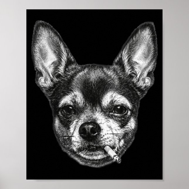 Póster Perro fumando cigarrillo divertido meme de chihuah (Frente)