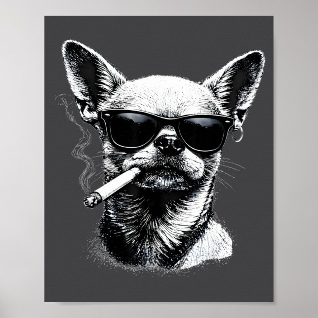 Póster Perro fumando cigarrillo divertido meme de Chihuah (Frente)