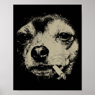 Póster Perro fumando cigarrillo divertido meme de Chihuah