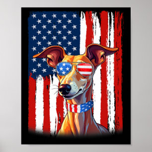 Póster Perro Galgo Italiano Bandera De América EEUU 4 De