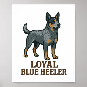 Póster Perro Ganadero Australiano Loyal Blue Heeler