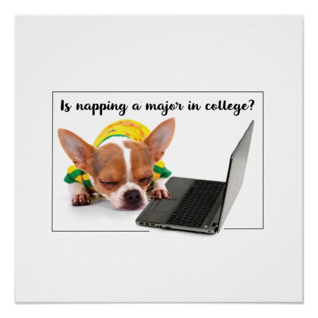 Póster Perro gracioso durmiendo en computadora portátil (Anverso)