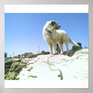 Póster Perro grande