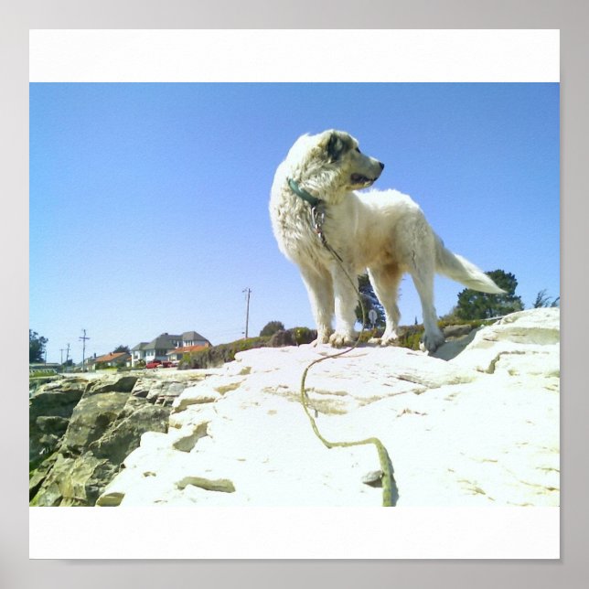 Póster Perro grande (Frente)