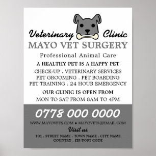 Póster Perro gris, veterinario, servicio veterinario