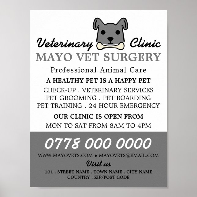 Póster Perro gris, veterinario, servicio veterinario (Frente)