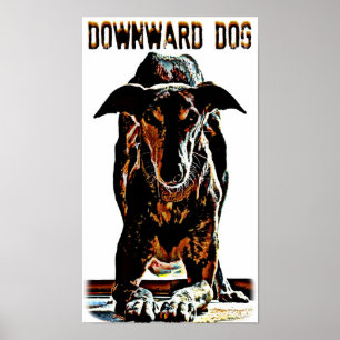 Póster Perro hacia abajo