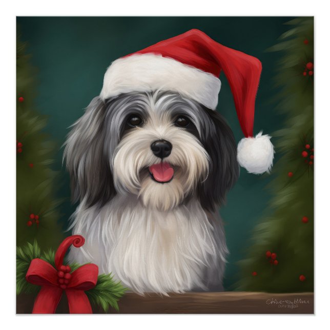 Póster Perro Havanés en Navidad con Nieve (Anverso)