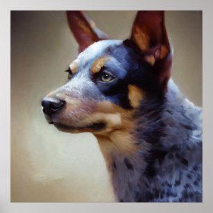 Póster Perro Heeler Azul