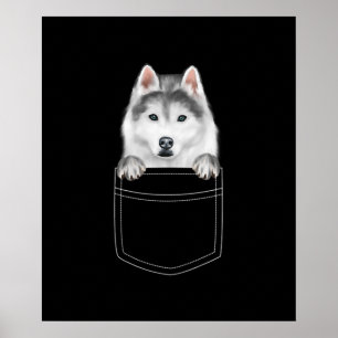 Póster Perro Husky Siberiano En El Bolsillo  Gracioso reg
