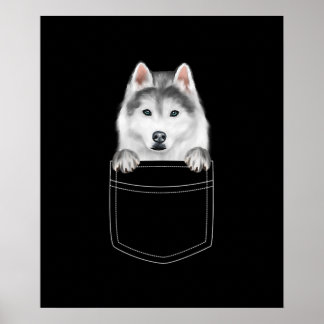 Póster Perro Husky Siberiano En El Bolsillo |Gracioso reg