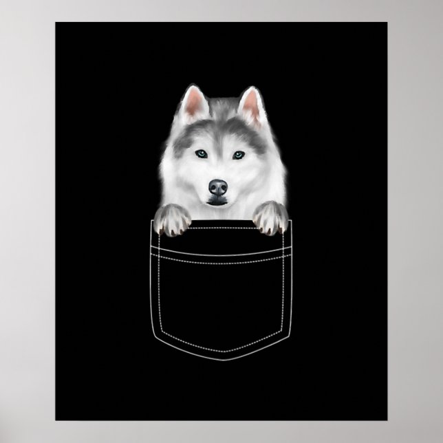 Póster Perro Husky Siberiano En El Bolsillo |Gracioso reg (Frente)
