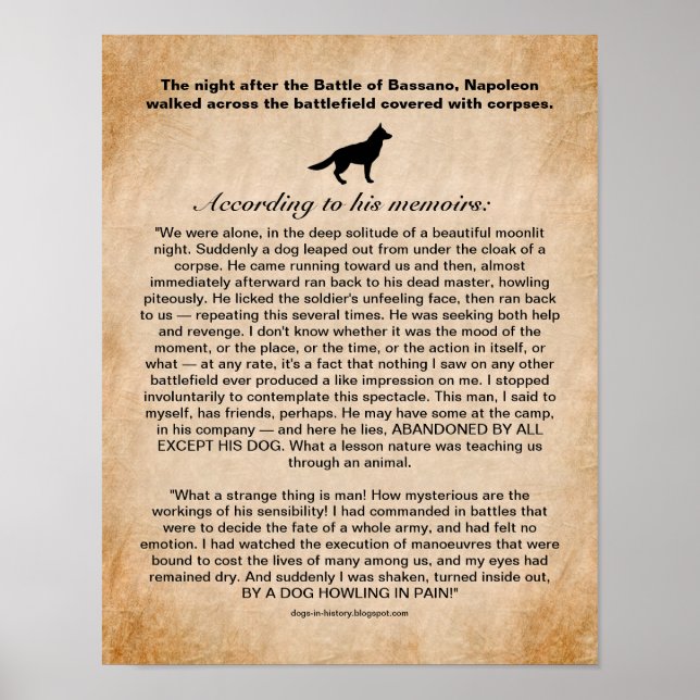 Póster Perro inspira a Napoleón tras la batalla de Bassan (Frente)