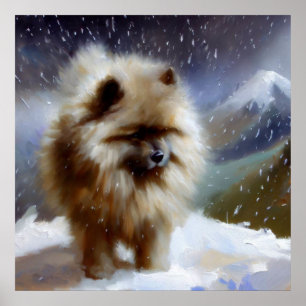 Póster Perro Keeshond