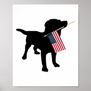 Póster Perro labrador negro sosteniendo la bandera patrió