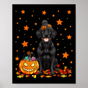 Póster Perro Labrador Negro y Caramelo de Calabaza Divert