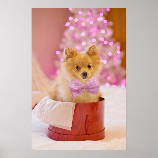 Póster Perro lindo con foto de Navidades de oso rosado (Frente)