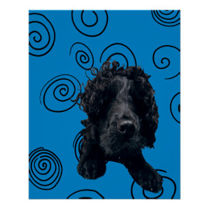 Póster Perro loco