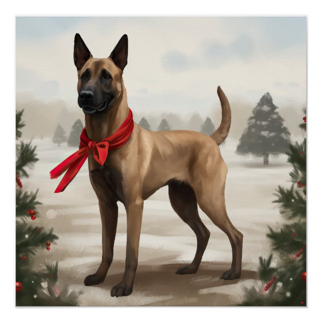 Póster Perro Malinois Belga en Navidad con Nieve (Anverso)