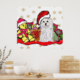 Póster Perro Maltés
