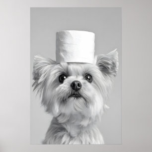 Póster Perro maltés divertido con sombrero de papel higié