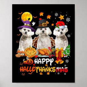 Póster Perro maltés Feliz Día de Acción de Gracias de Hal