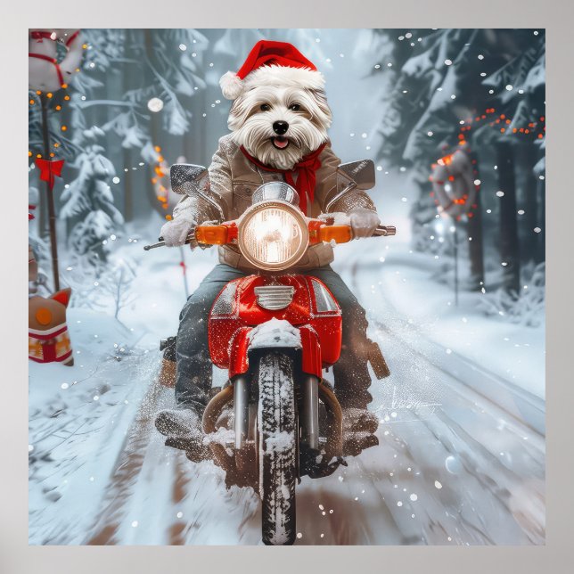 Póster Perro Maltés Montando Motocicleta Navidad (Frente)