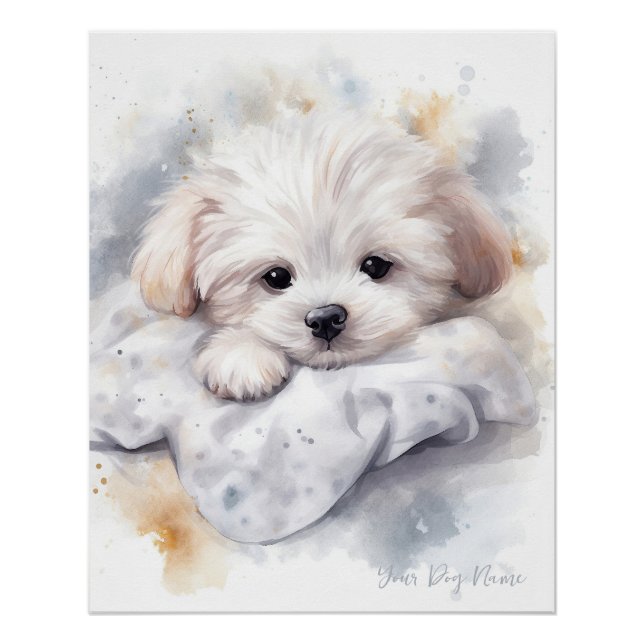 Póster Perro maltés Perro maltés super lindo angel durmie (Anverso)
