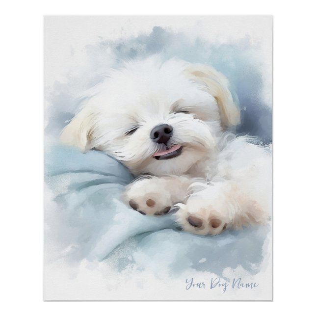 Póster Perro maltés Perro maltés super lindo angel durmie (Anverso)