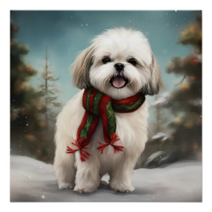 Póster Perro Malti Tzu en Navidad con nieve