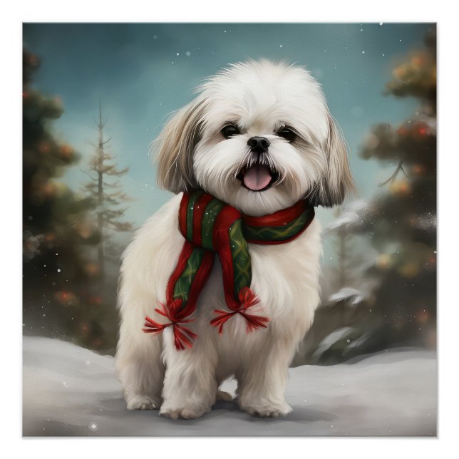 Póster Perro Malti Tzu en Navidad con nieve (Anverso)
