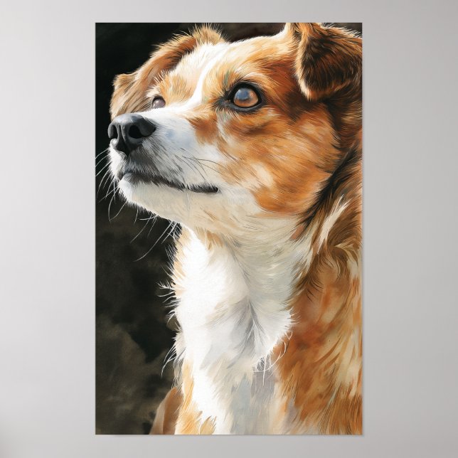 Póster Perro mestizo de chihuahua terrier en primer plano (Frente)
