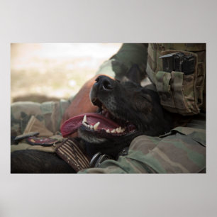 Póster Perro militar pastor alemán sonriente