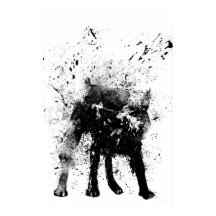 perro mojado