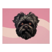 Perro mono Affenpinscher Affens Terrier