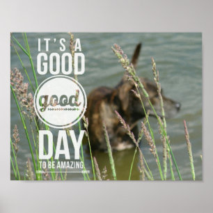 Póster Perro nadador, gran día