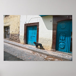 Póster Perro negro en el Cusco, Perú