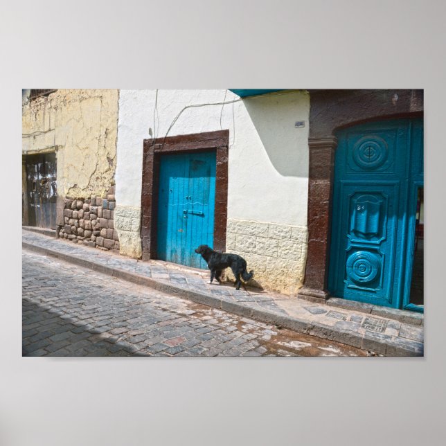 Póster Perro negro en el Cusco, Perú (Frente)