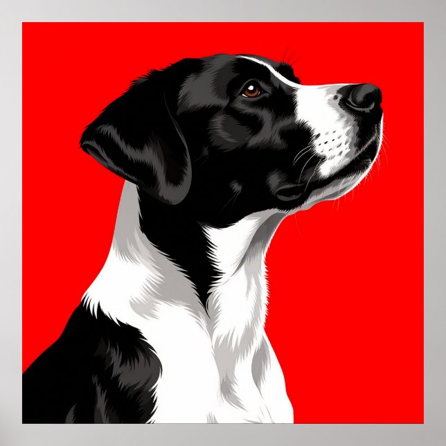 Póster Perro negro y blanco en negrita fondo rojo (Frente)