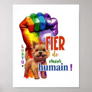Póster Perro Norwich Terrier