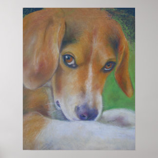 Póster Perro parduzco: ojos