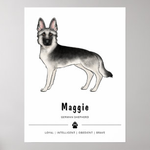 Póster Perro pastor alemán sable plateado y texto persona