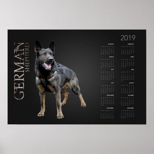 Póster Perro pastor alemán trabajando - Calendario 2019 d (Frente)