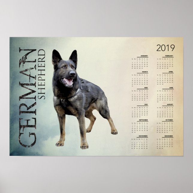 Póster Perro pastor alemán trabajando - Calendario 2019 d (Frente)