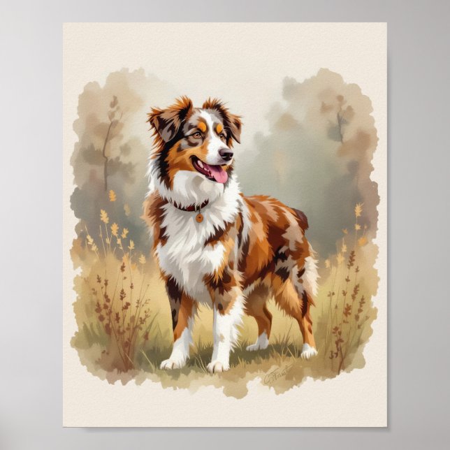 Póster Perro Pastor Australiano Merle Rojo Aussie (Frente)