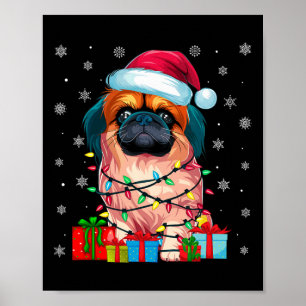 Póster Perro pekingés Nochequeo feo alumbra perro de Sant