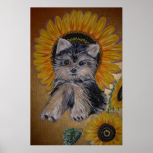 Póster Perro pequeño y girasoles bonitos